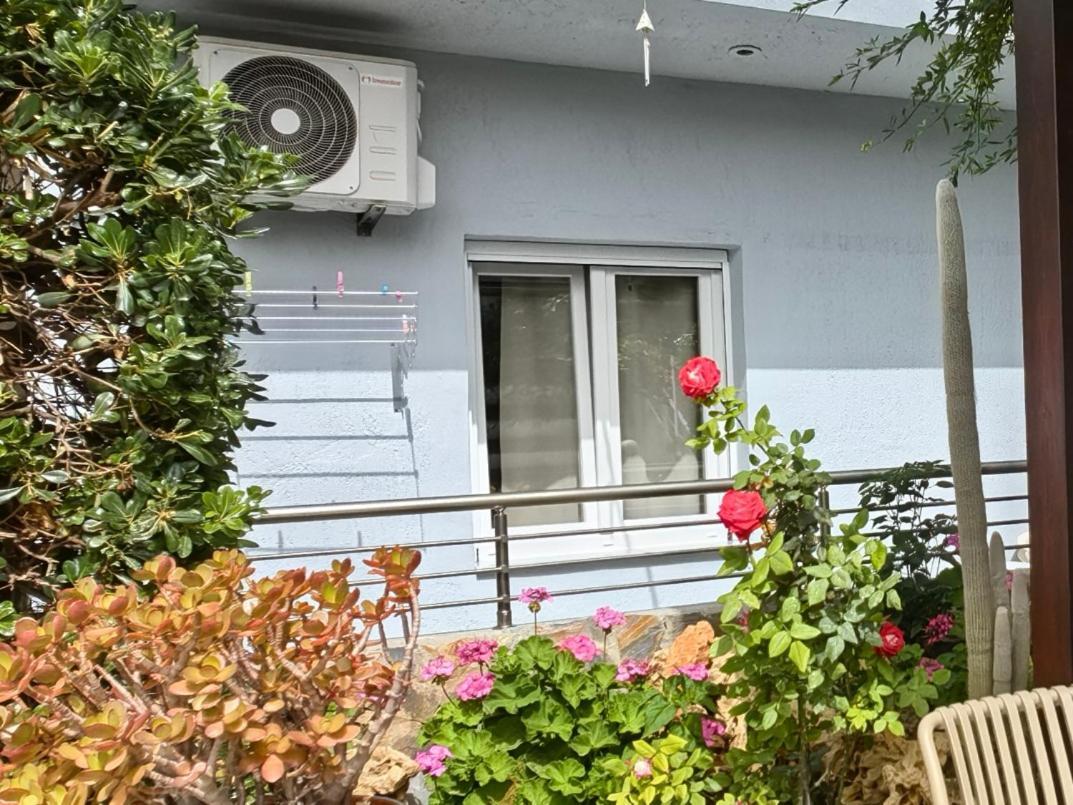 Eva Ivoni Apartments Amoudara Lasithiou Exteriör bild